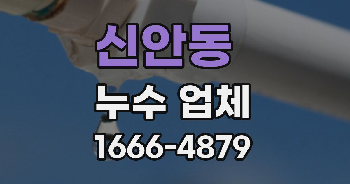 신안동 누수 업체