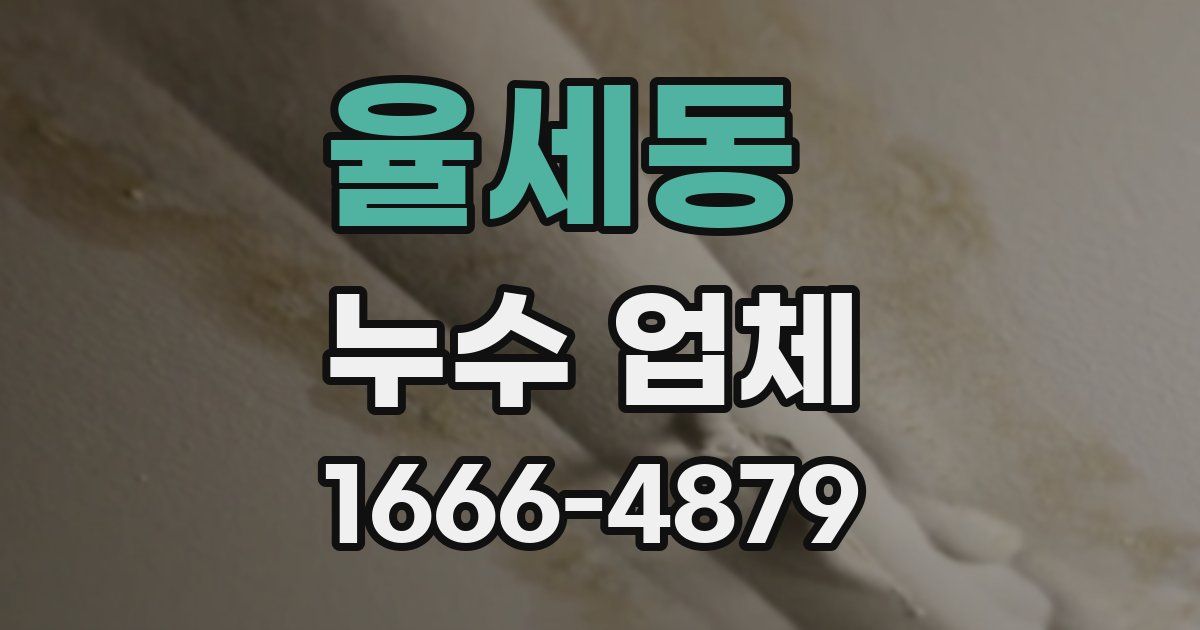 율세동 누수 업체