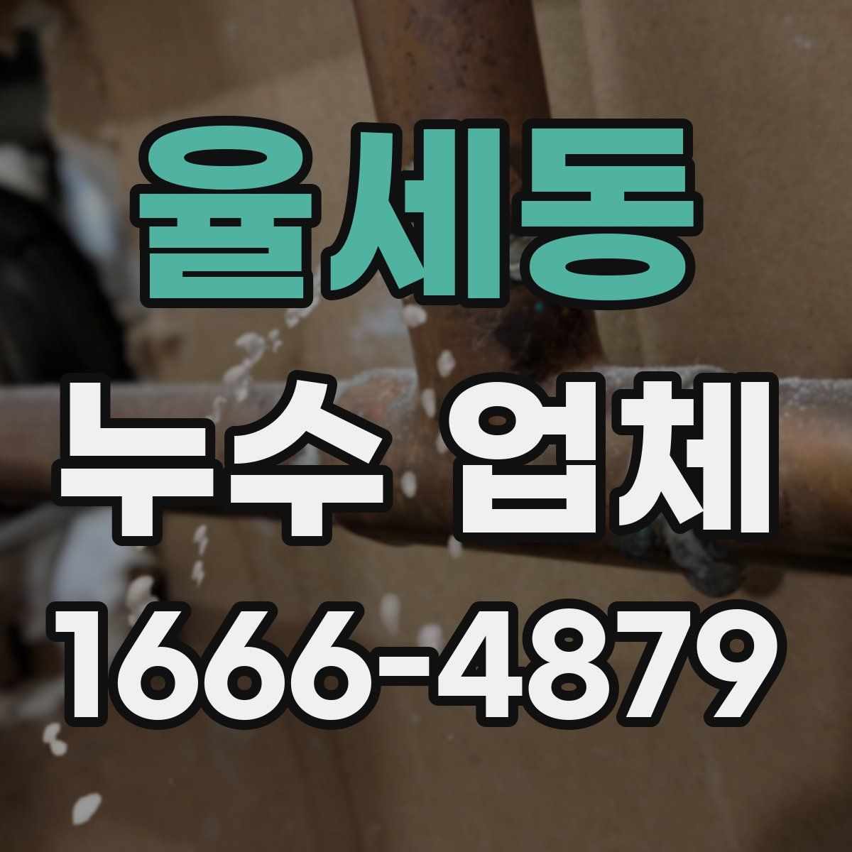 율세동 누수 업체