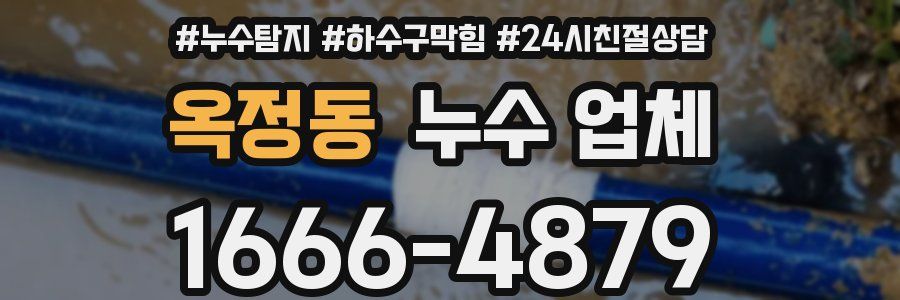 옥정동 누수 업체