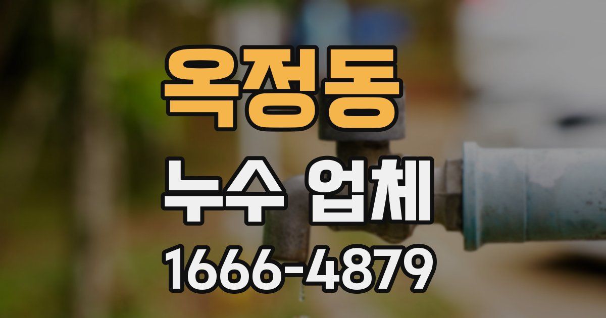 옥정동 누수 업체