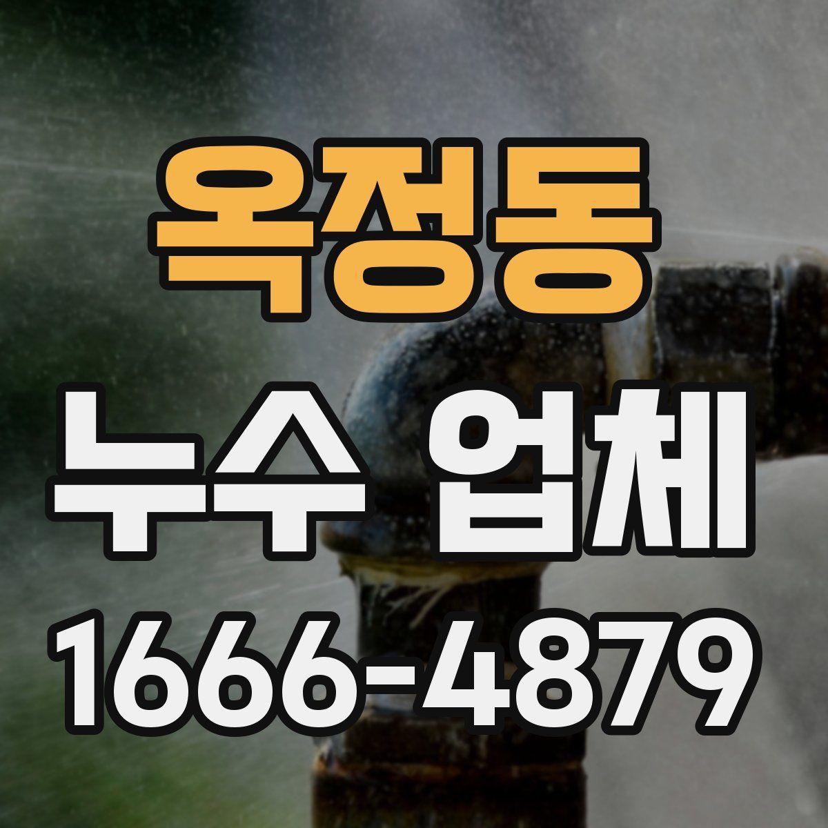 옥정동 누수 업체