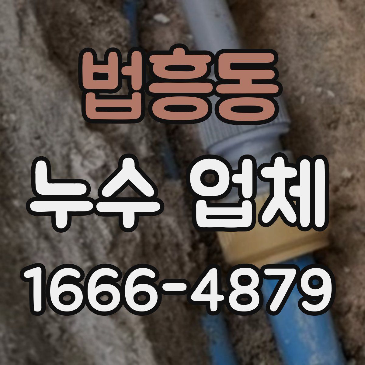 법흥동 누수 업체