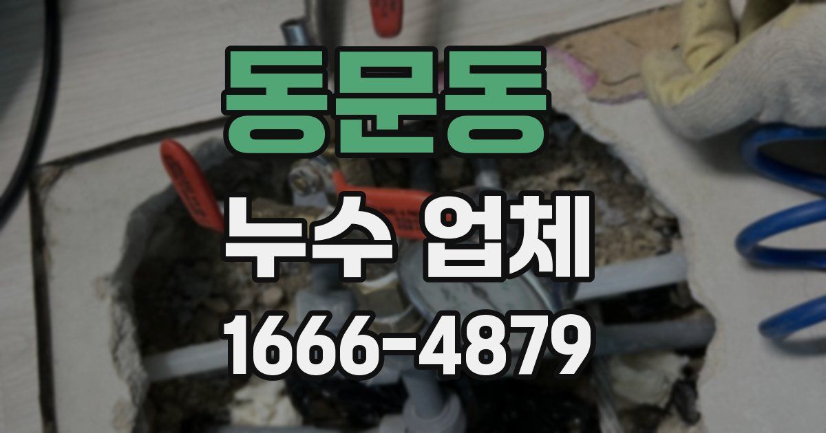 동문동 누수 업체
