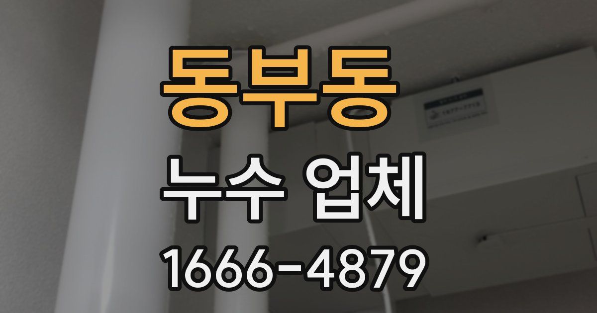 동부동 누수 업체
