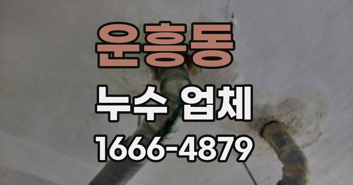 운흥동 누수 업체