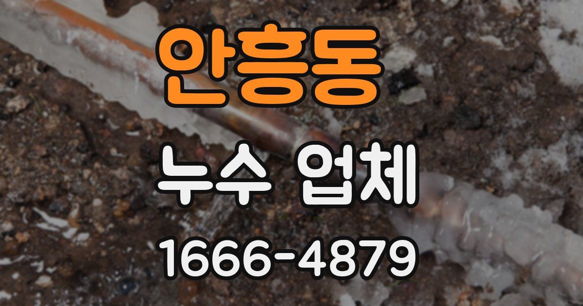 안흥동 누수 업체