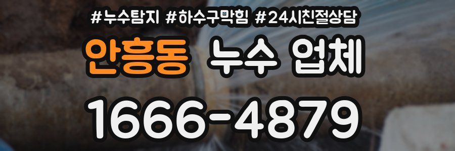 안흥동 누수 업체