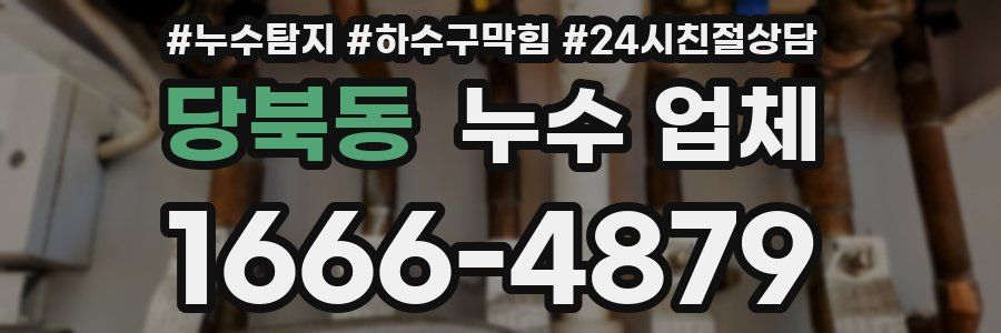 당북동 누수 업체