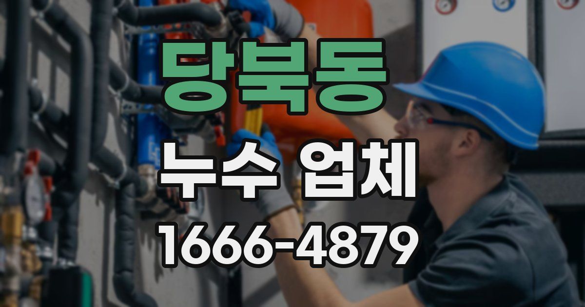 당북동 누수 업체