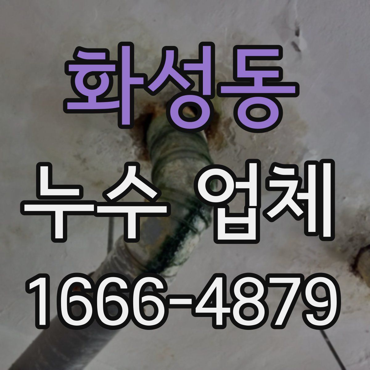 화성동 누수 업체