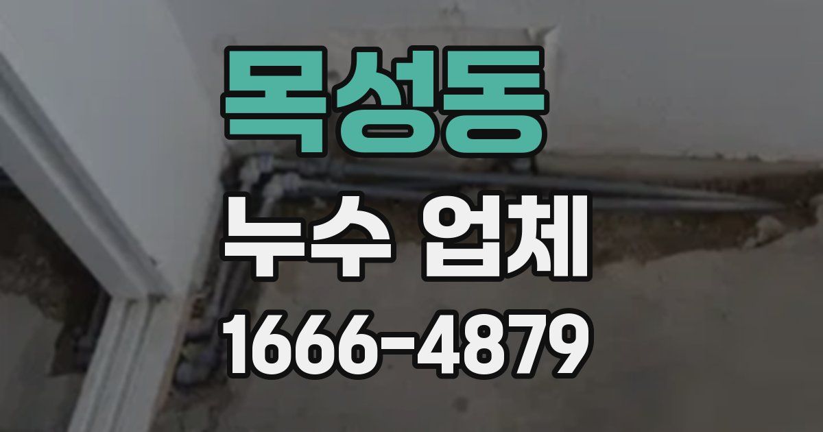 목성동 누수 업체