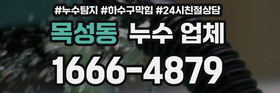 목성동 누수 업체