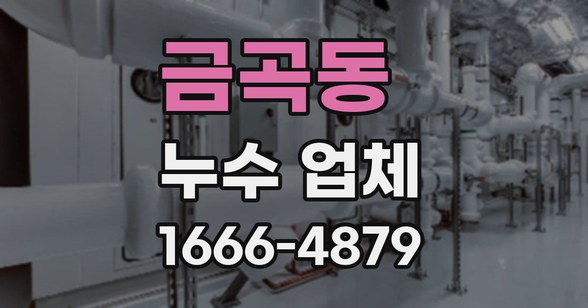 금곡동 누수 업체