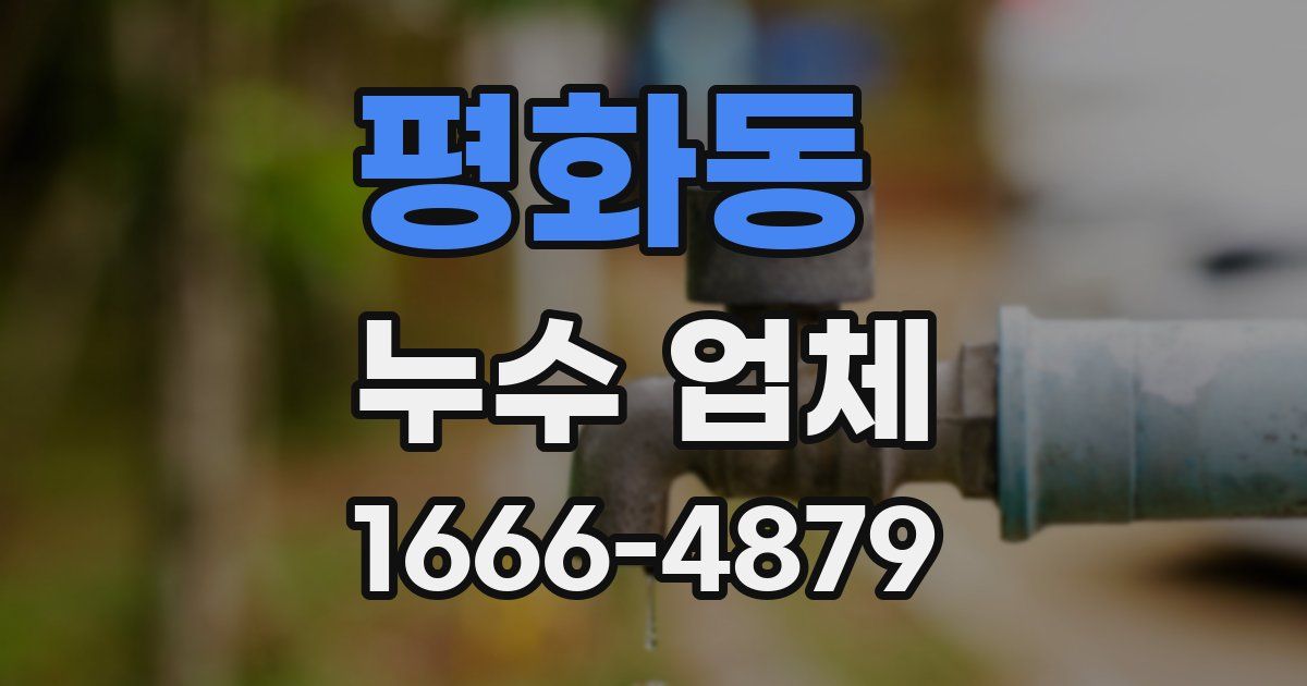 평화동 누수 업체