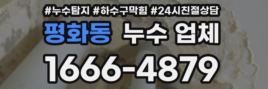 평화동 누수 업체