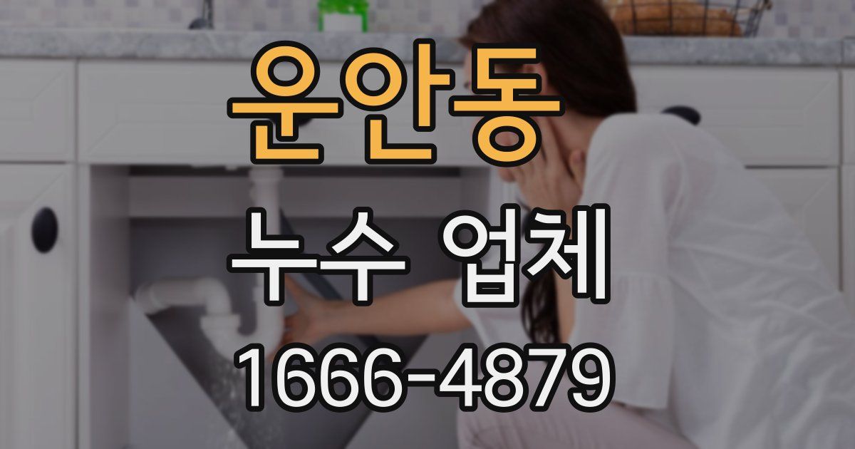 운안동 누수 업체