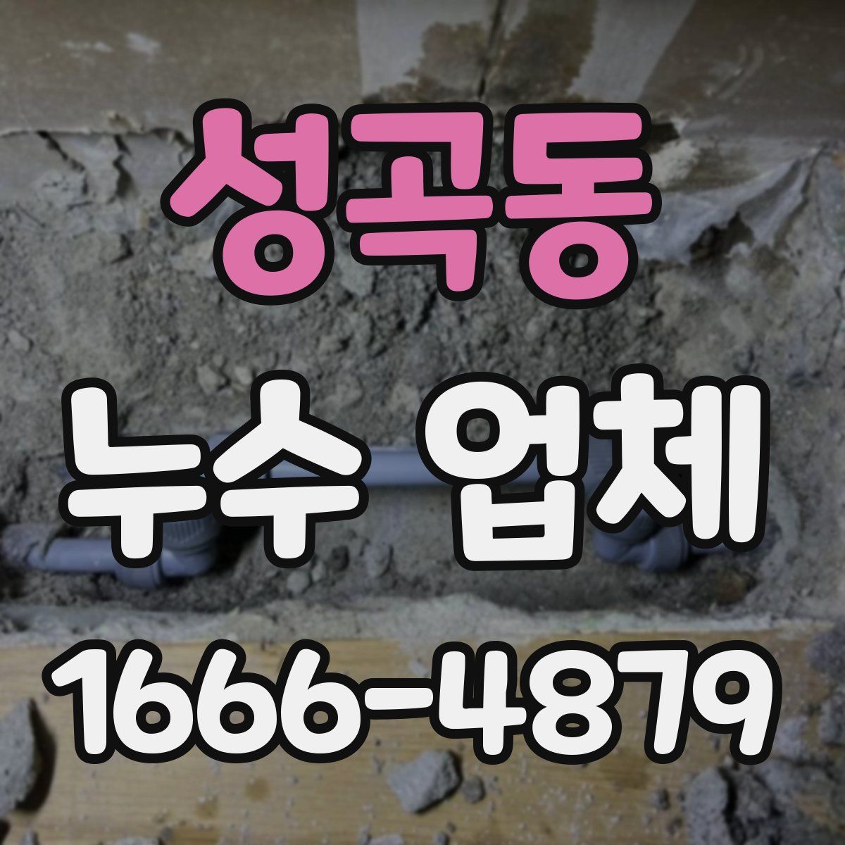 성곡동 누수 업체