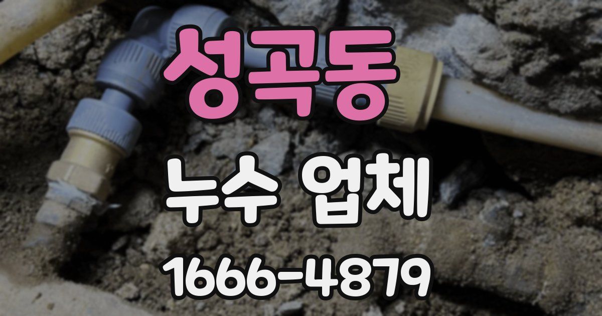성곡동 누수 업체
