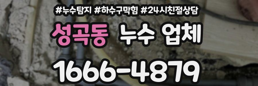 성곡동 누수 업체