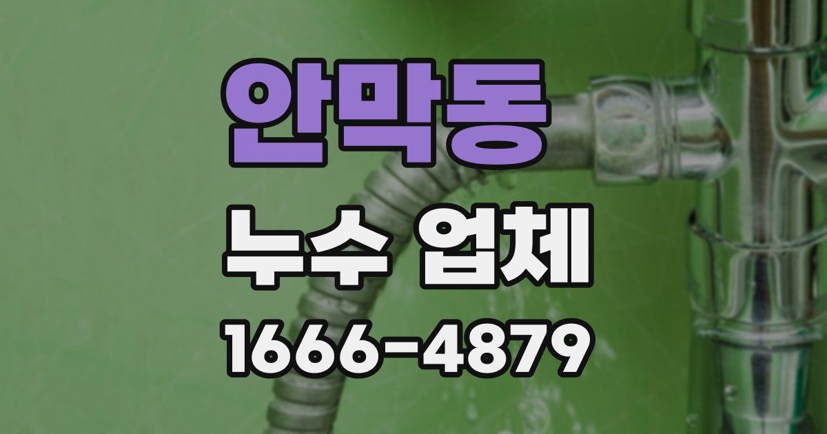 안막동 누수 업체