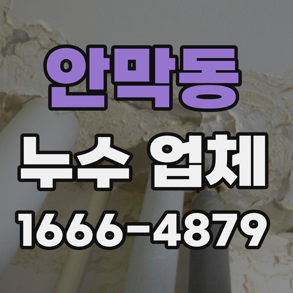 안막동 누수 업체