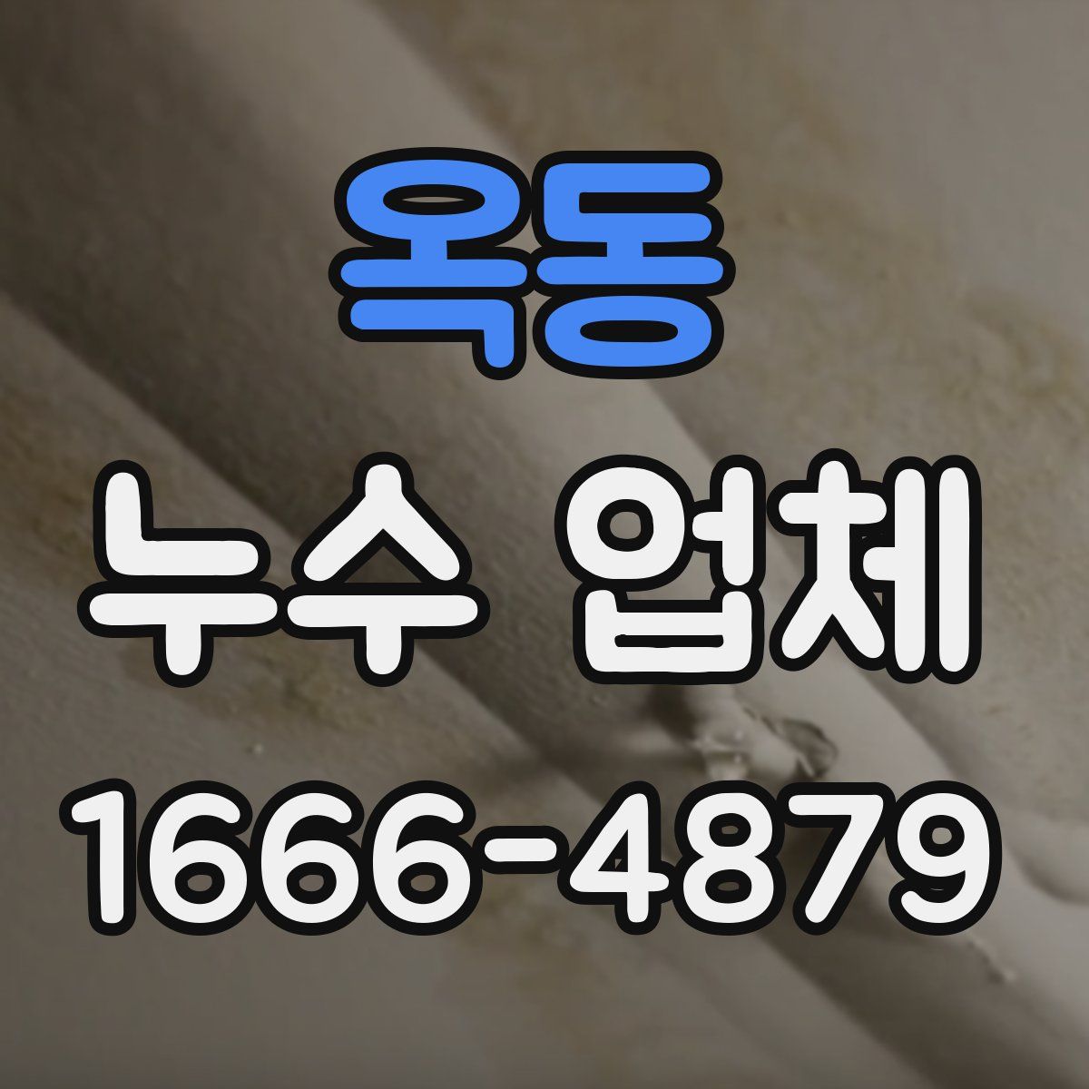 옥동 누수 업체