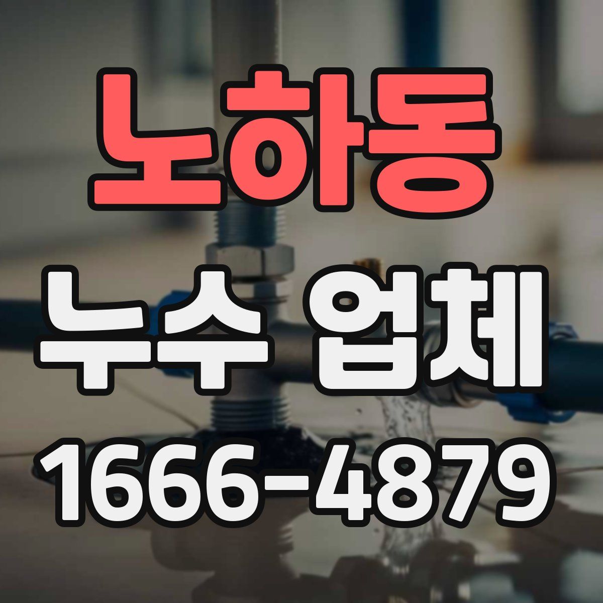 노하동 누수 업체