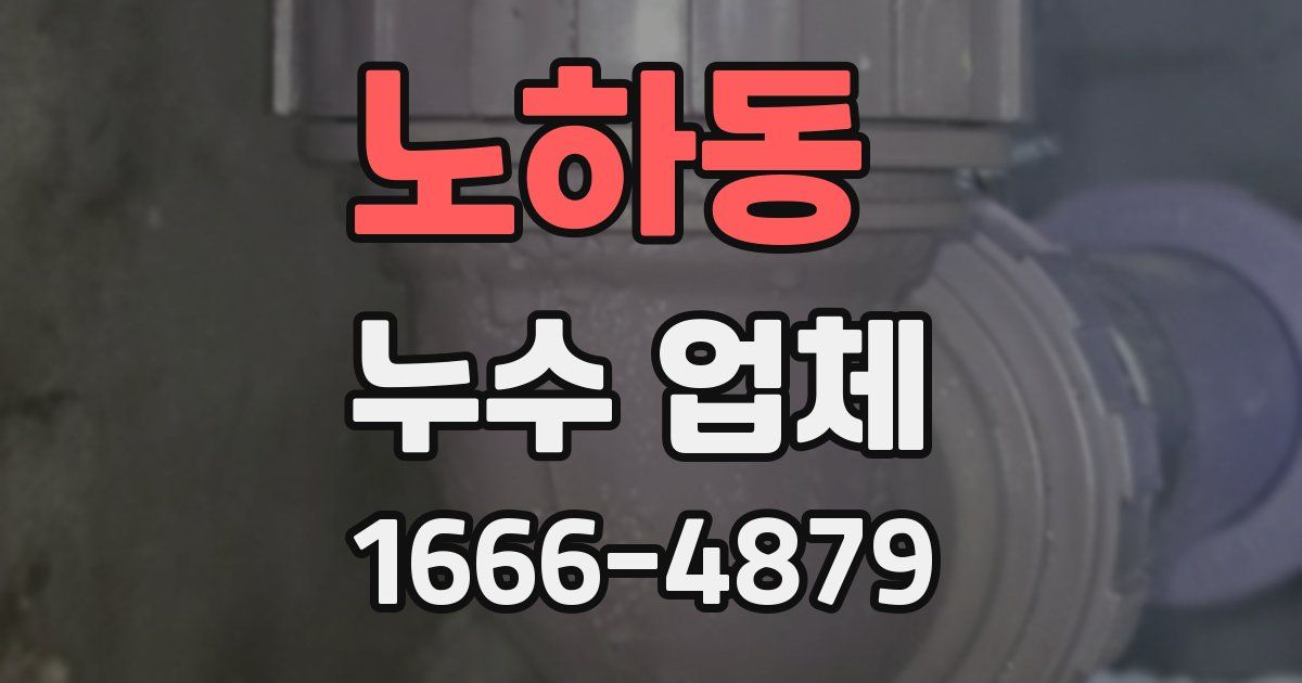 노하동 누수 업체