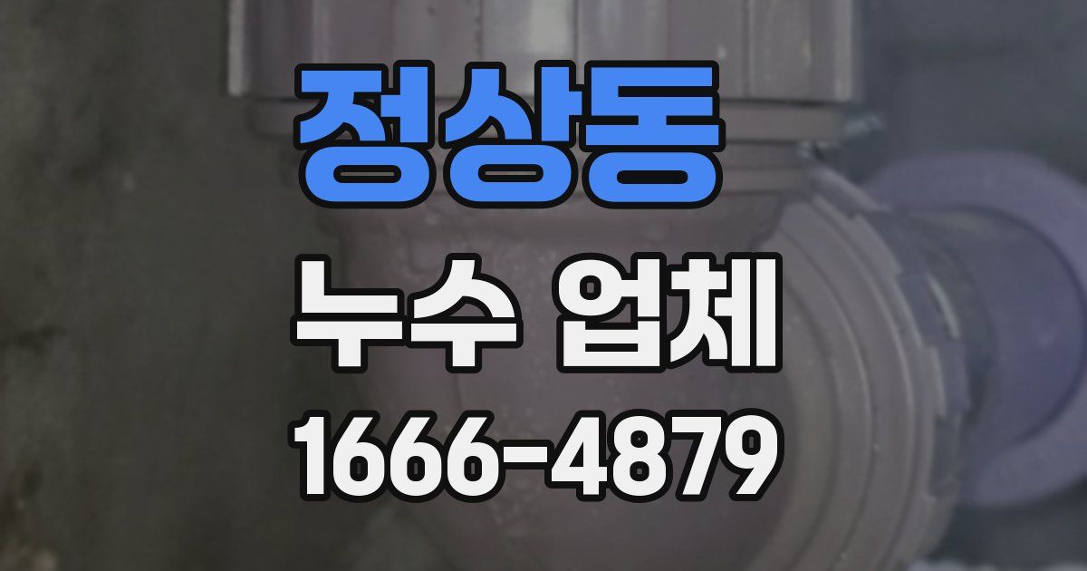 정상동 누수 업체