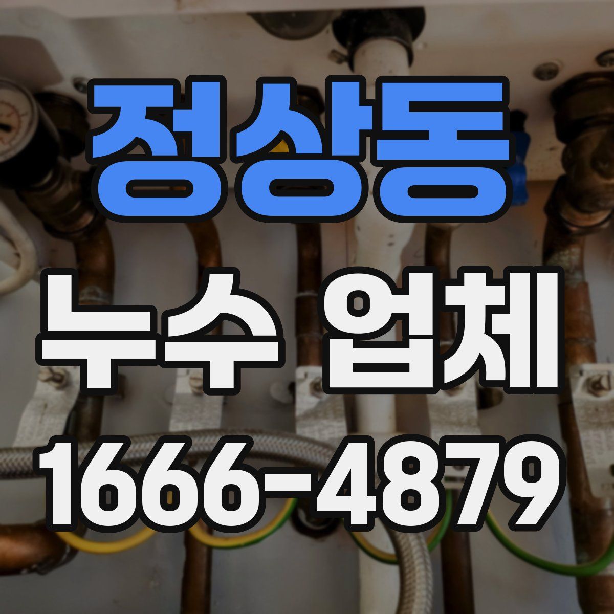 정상동 누수 업체