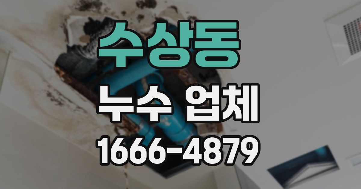수상동 누수 업체
