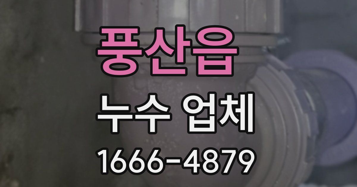 풍산읍 누수 업체