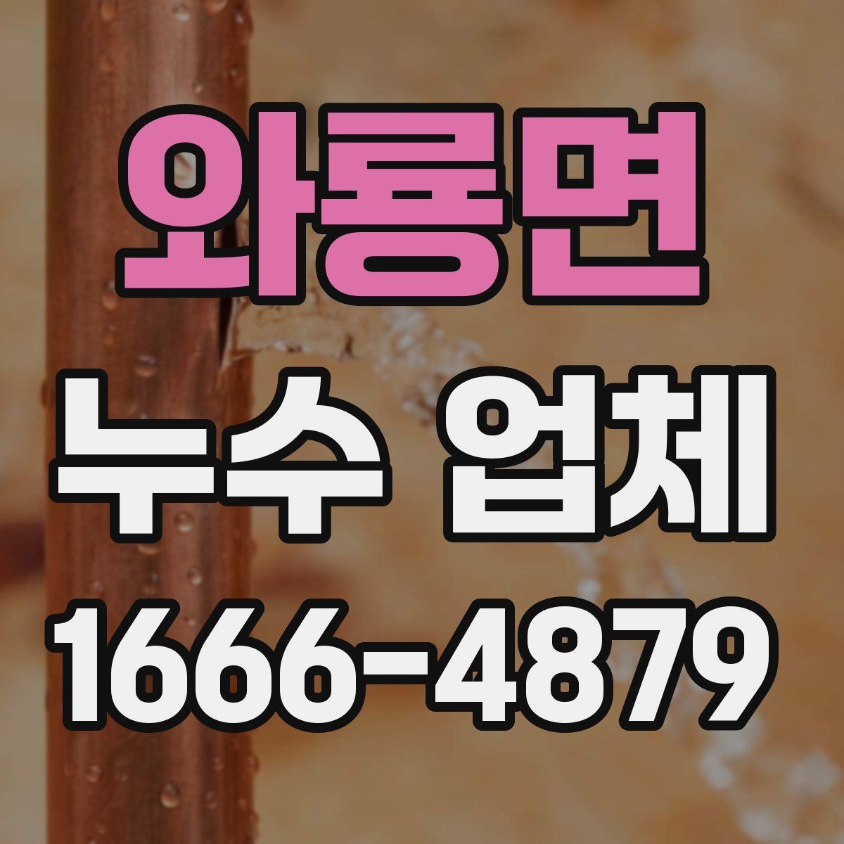 와룡면 누수 업체