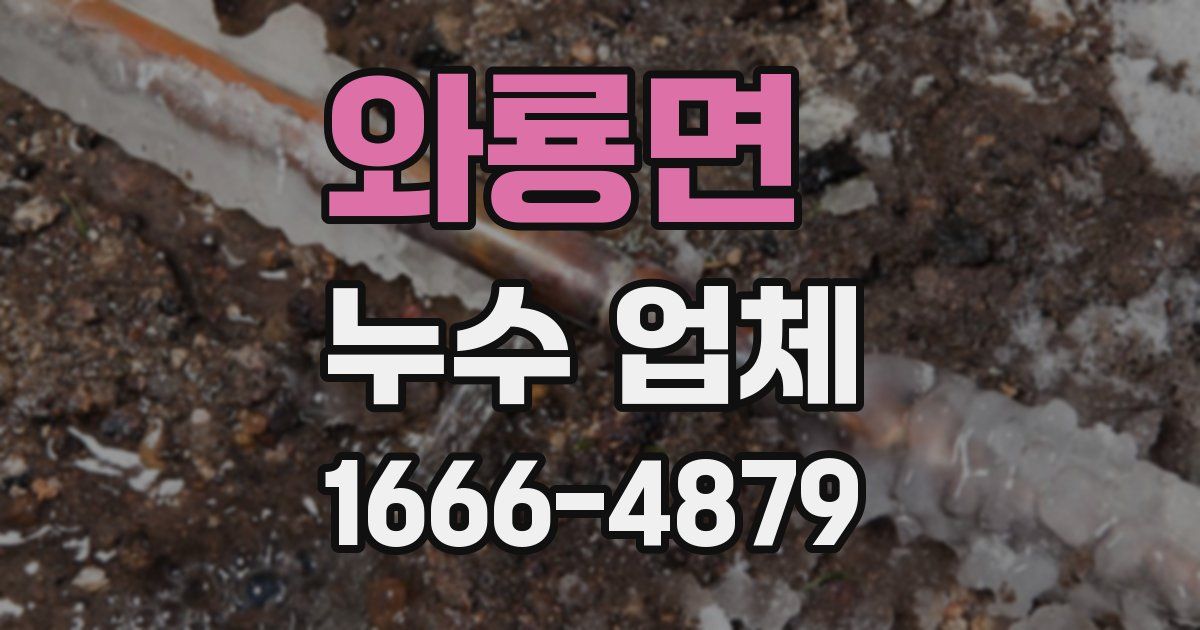 와룡면 누수 업체