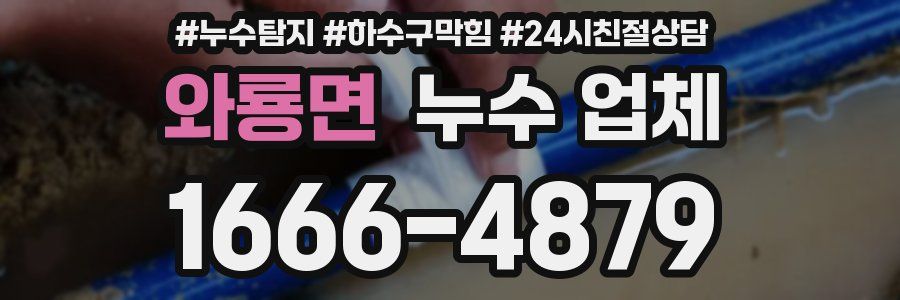 와룡면 누수 업체