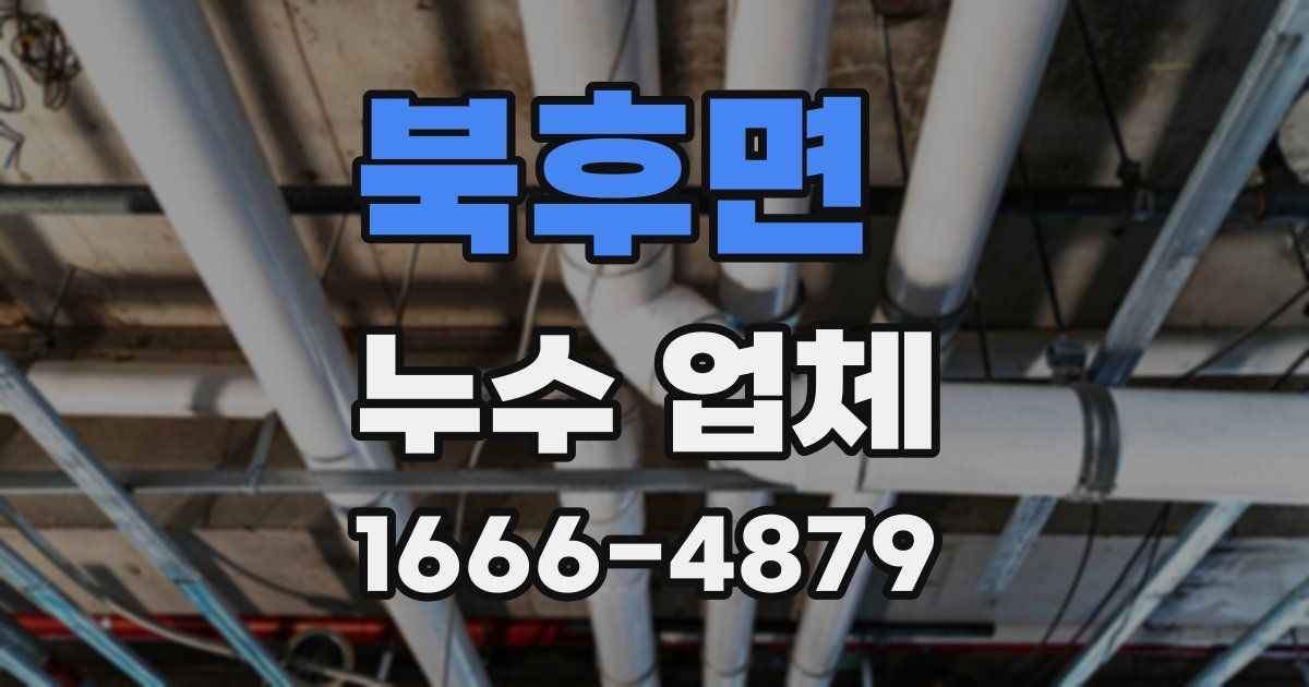 북후면 누수 업체
