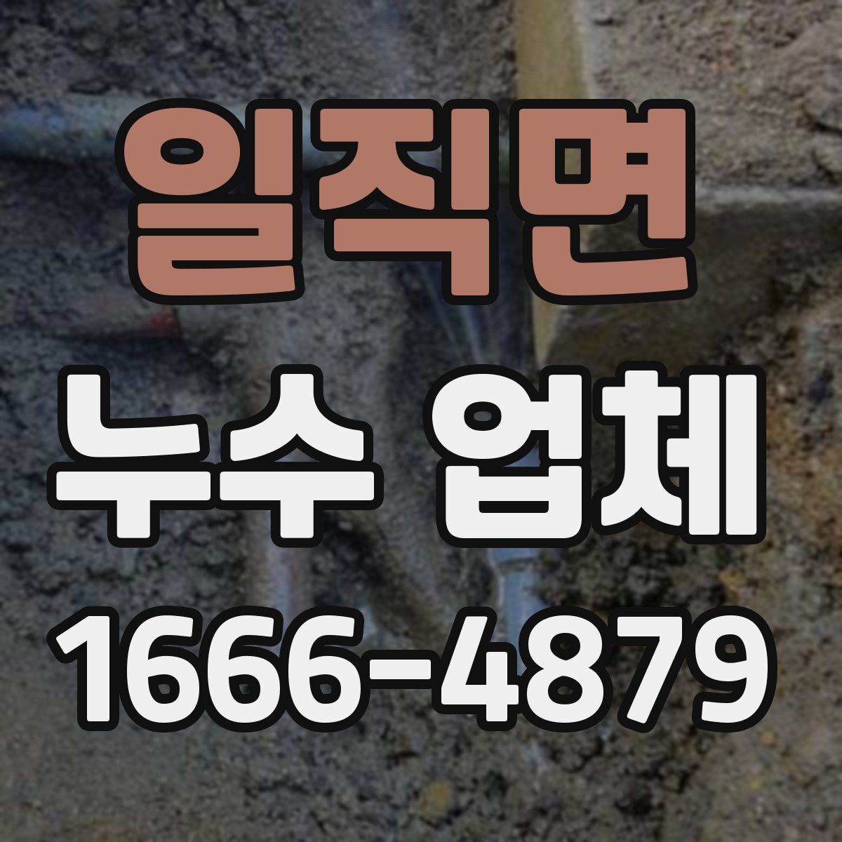 일직면 누수 업체