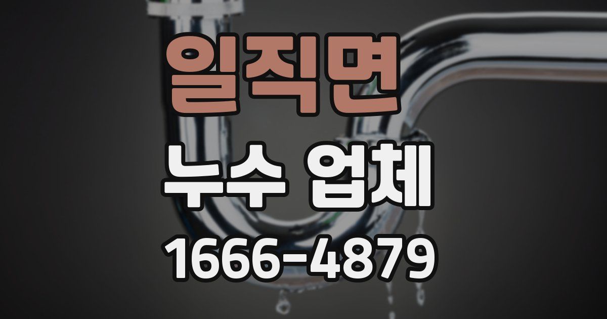 일직면 누수 업체