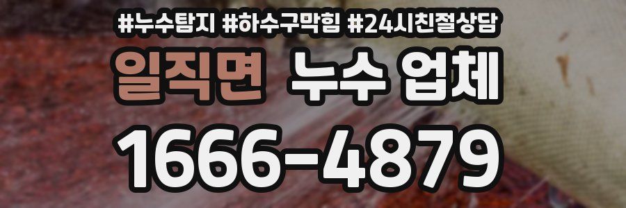 일직면 누수 업체