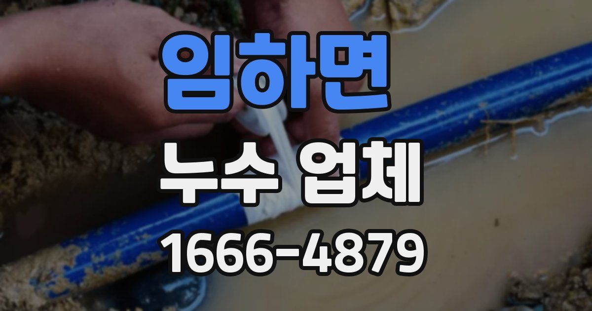 임하면 누수 업체