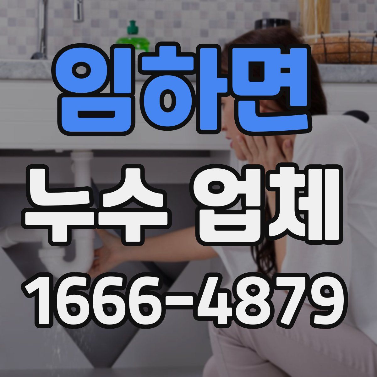 임하면 누수 업체