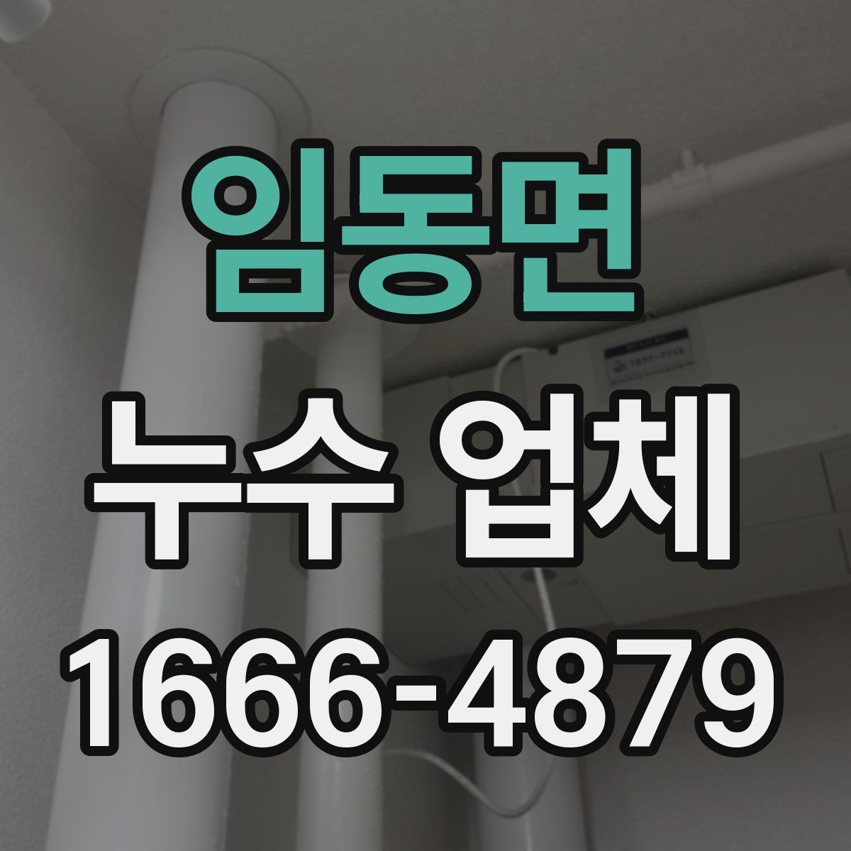 임동면 누수 업체