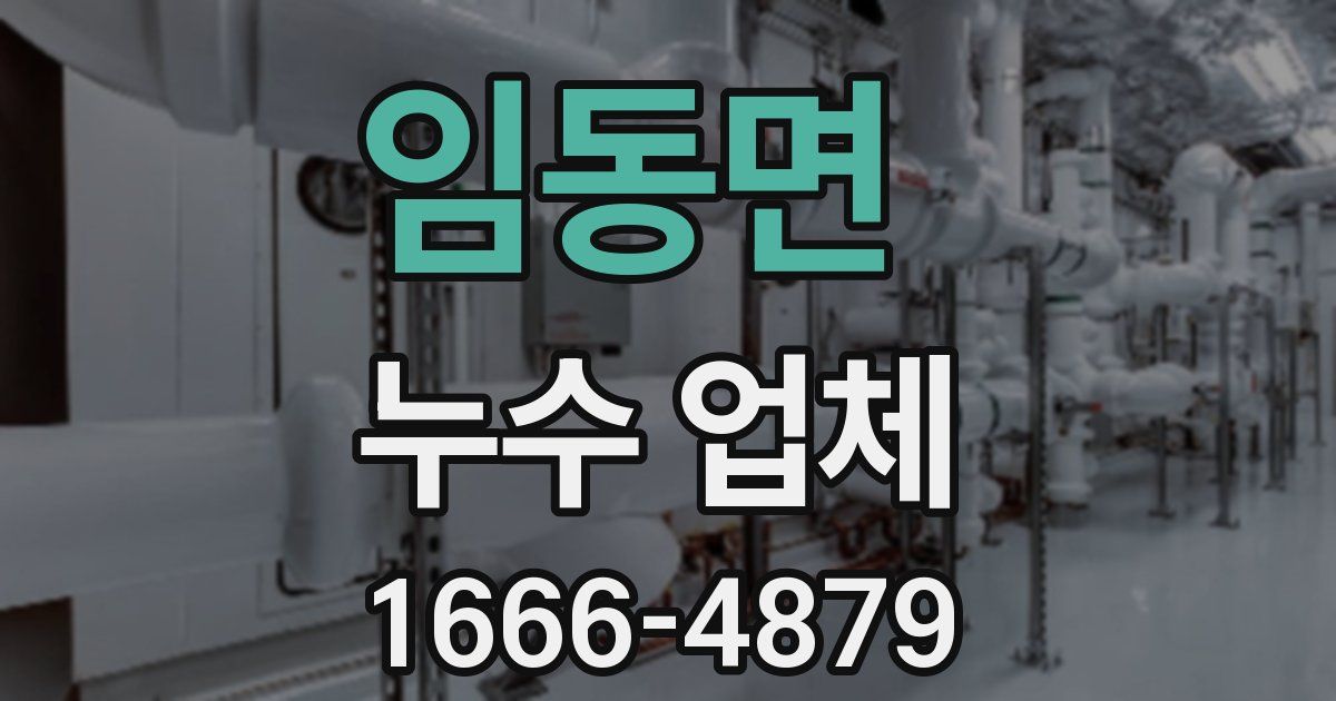 임동면 누수 업체