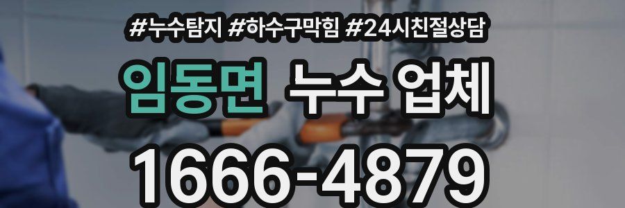 임동면 누수 업체
