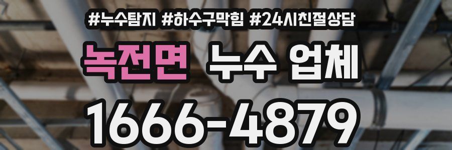 녹전면 누수 업체