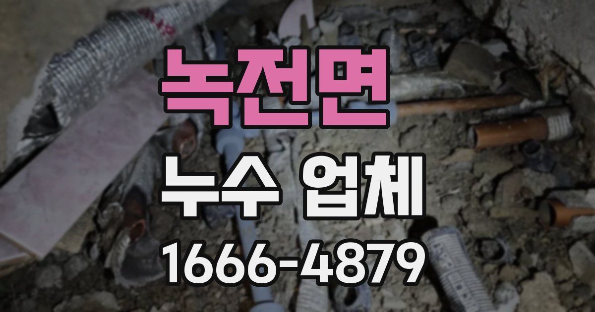 녹전면 누수 업체