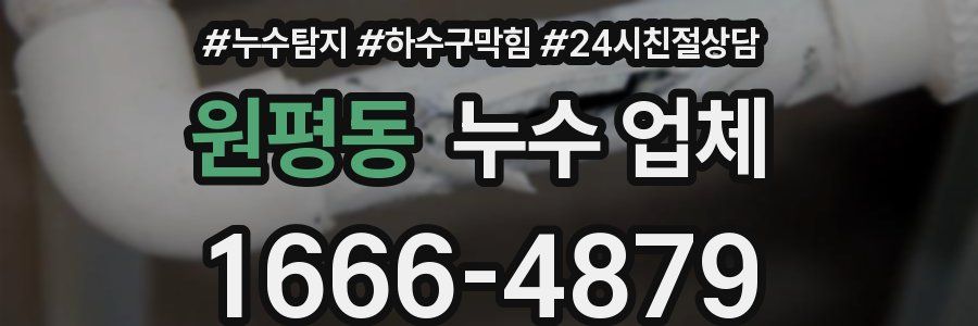 원평동 누수 업체