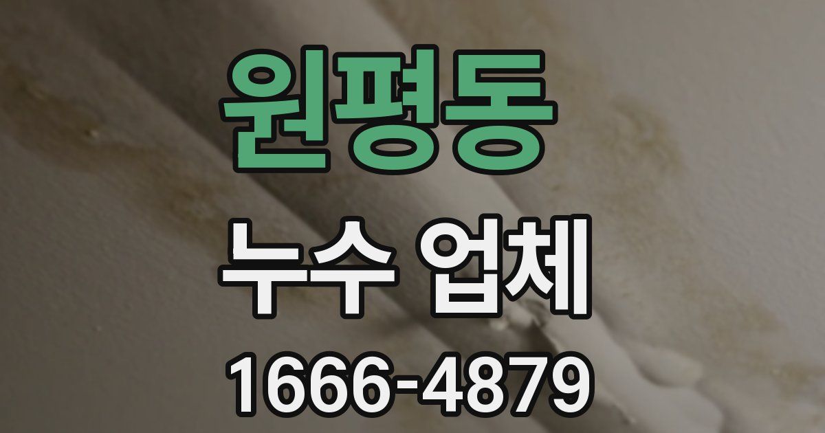 원평동 누수 업체