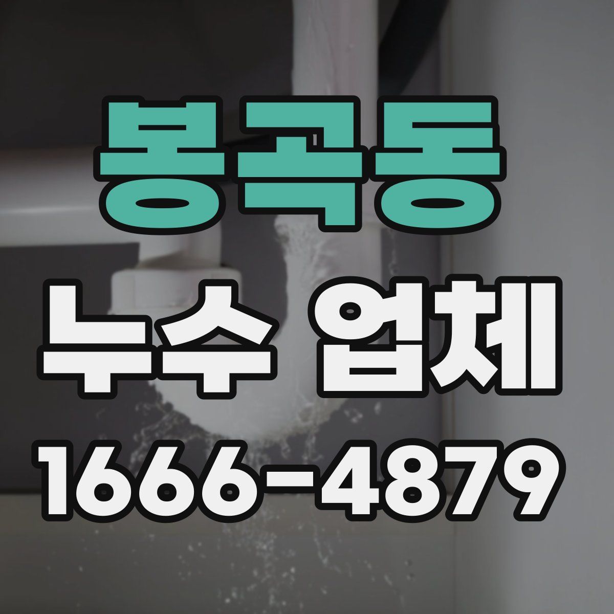 봉곡동 누수 업체